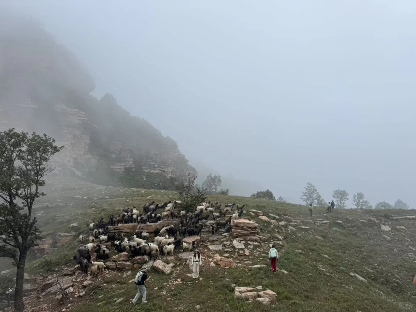 邯郸带娃户外徒步、每周一山⛰️