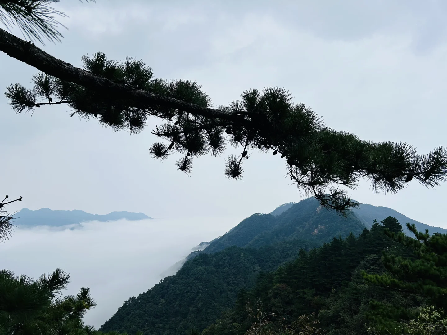 十一这个景区，景美人少