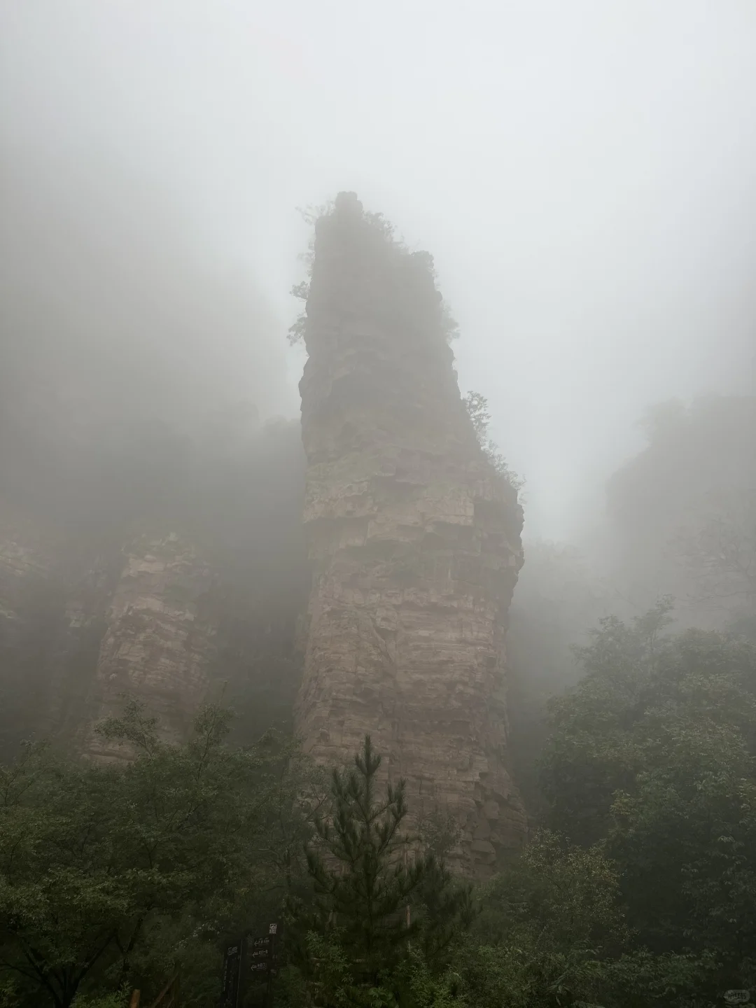 ⛰️武安·东太行｜在邯郸花的最值的一笔