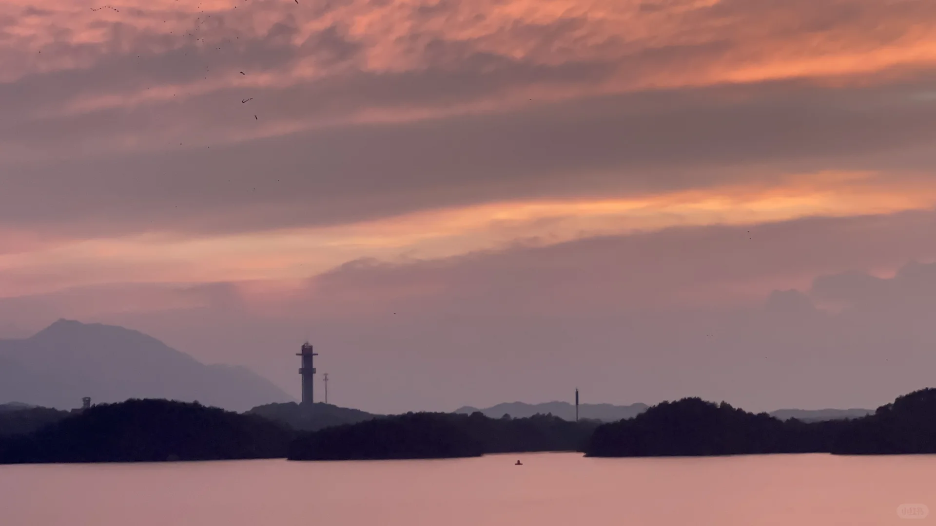竟然让我流浪到了免费的5A景区❗