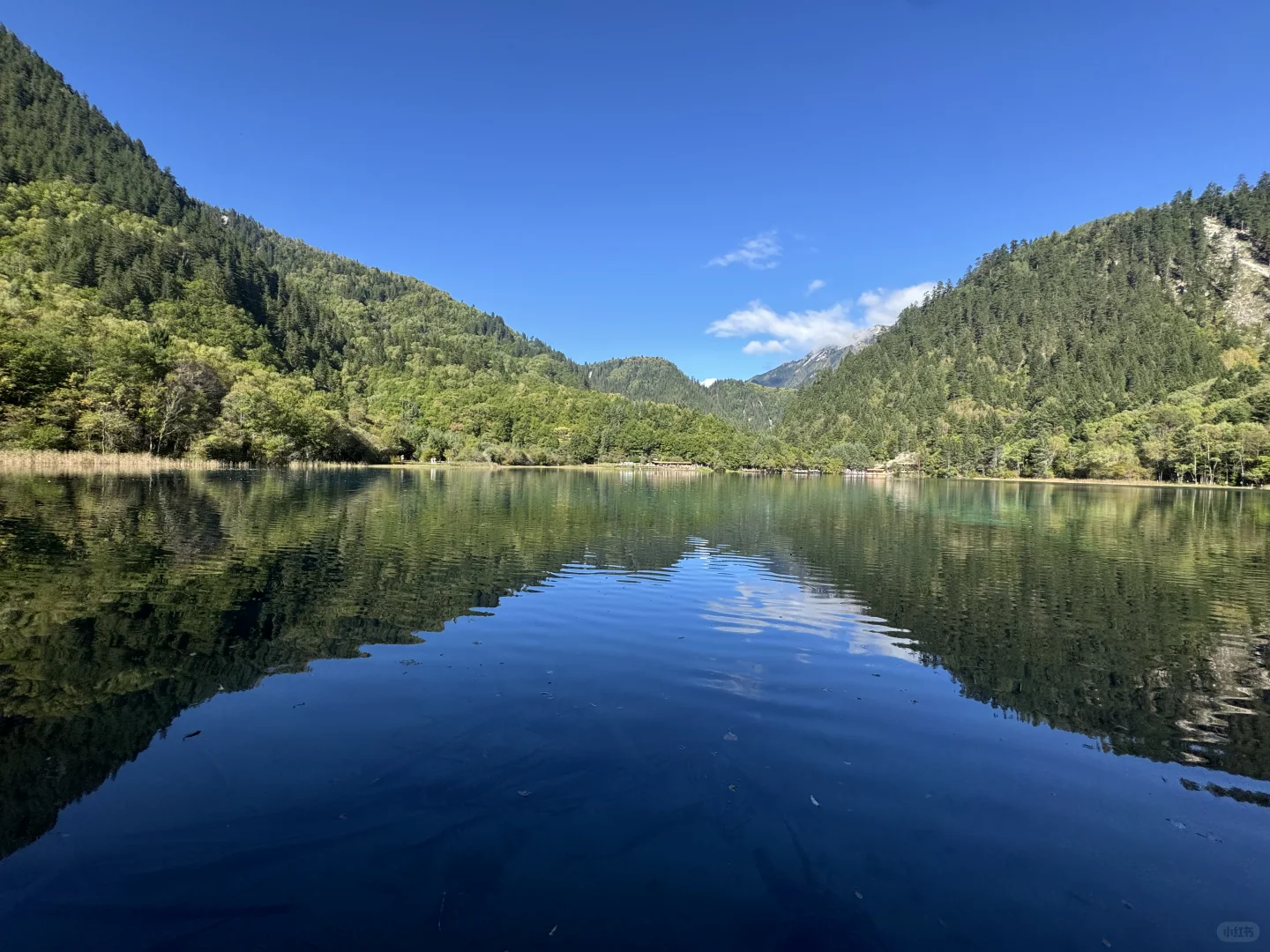 九寨沟第一天,讲真,根本不用过度追求攻略