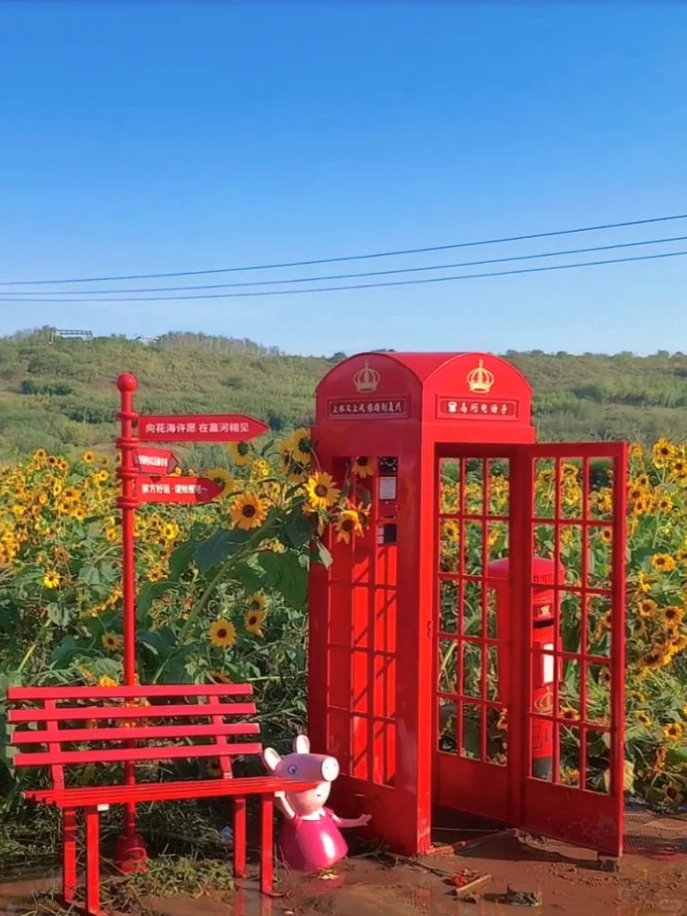🌻邯郸秋日限定 | 闯进向日葵童话‼️