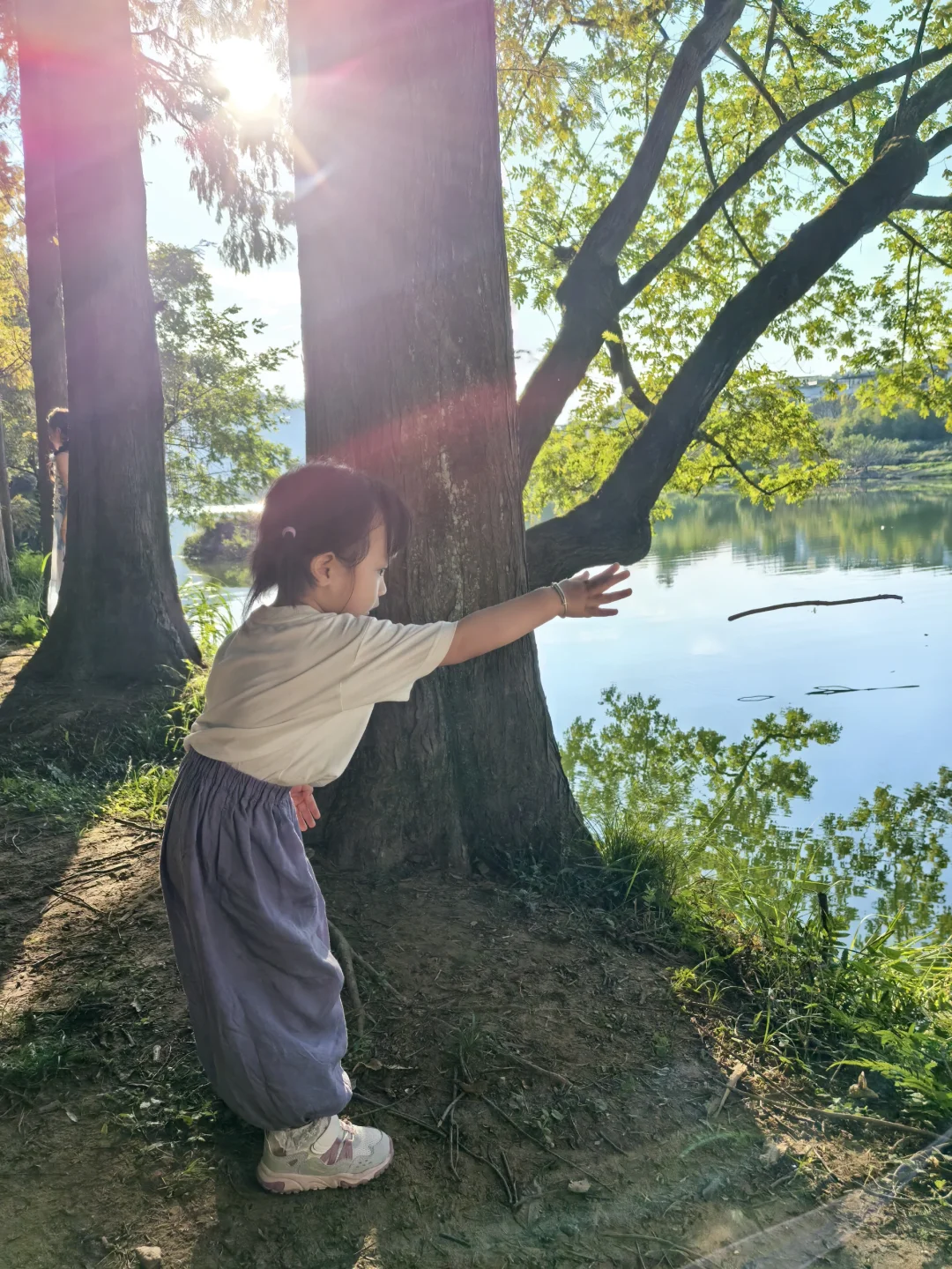 仙都—青田 带娃出行记