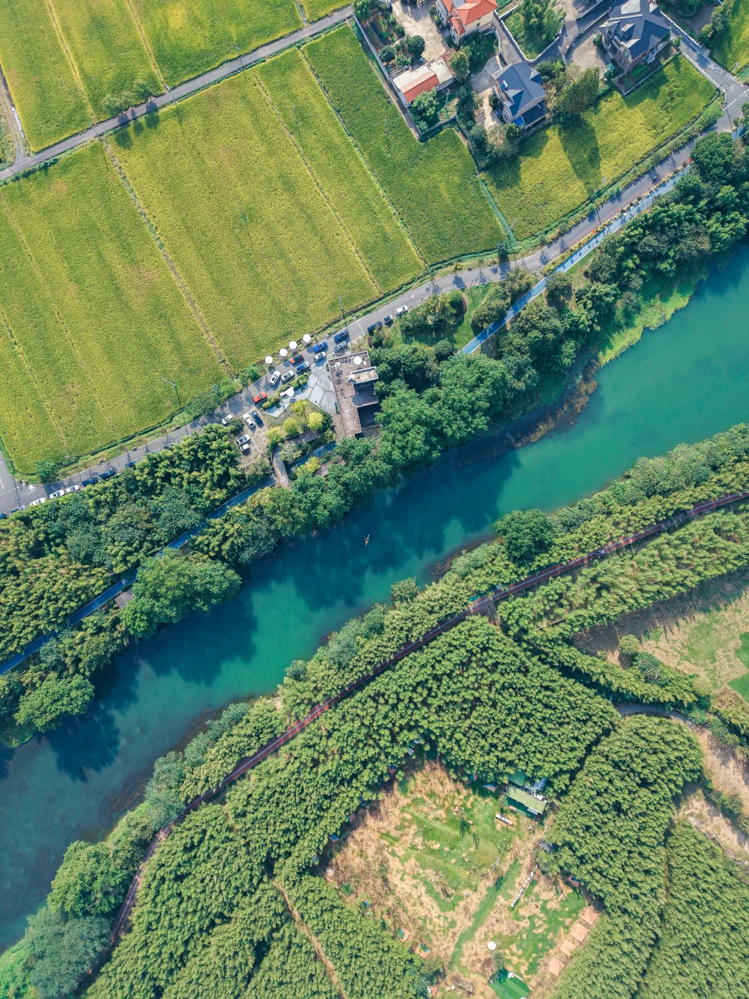独木舟旅行·River❺东苕溪（小古城村段）