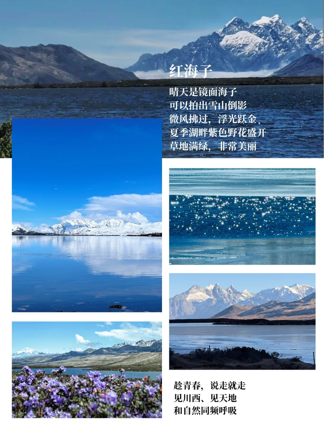 稻城亚丁四姑娘山纯玩5天，1k+解锁川西旅行