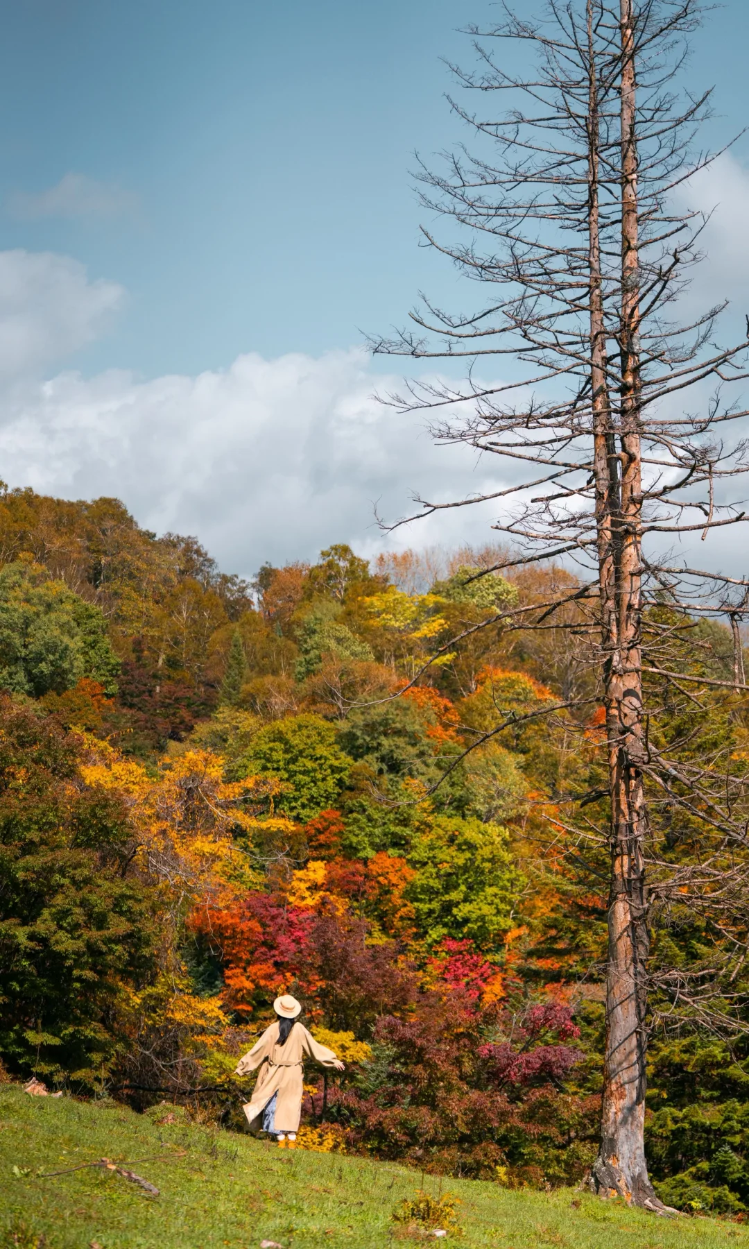 全屏打开吉林此刻的秋天🍁