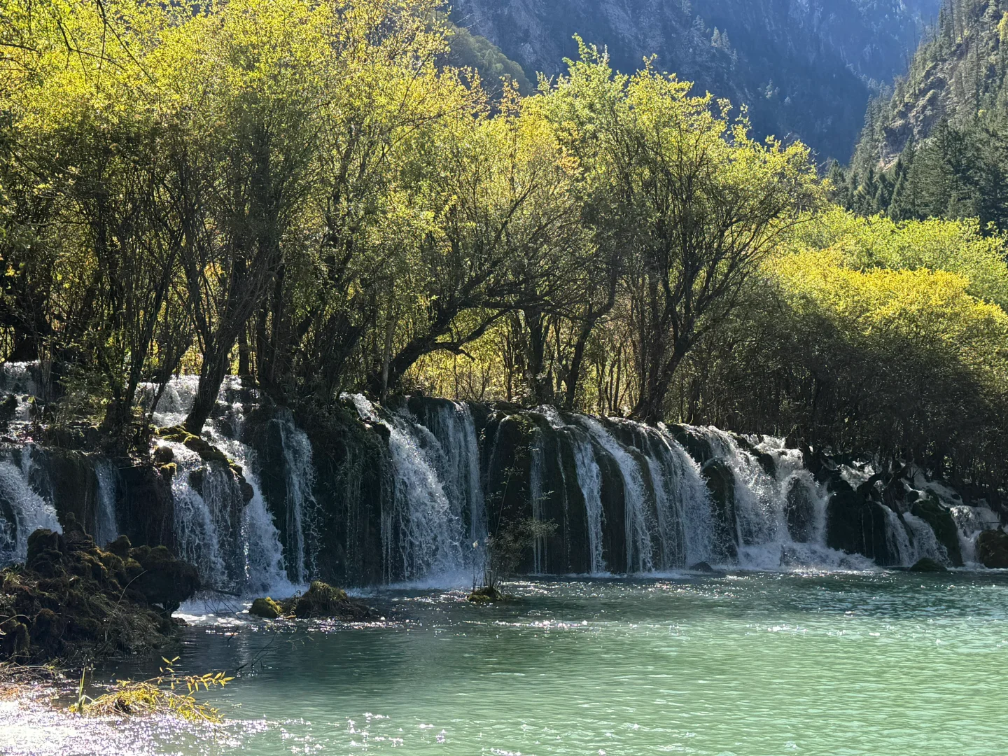 九寨沟第一天,讲真,根本不用过度追求攻略