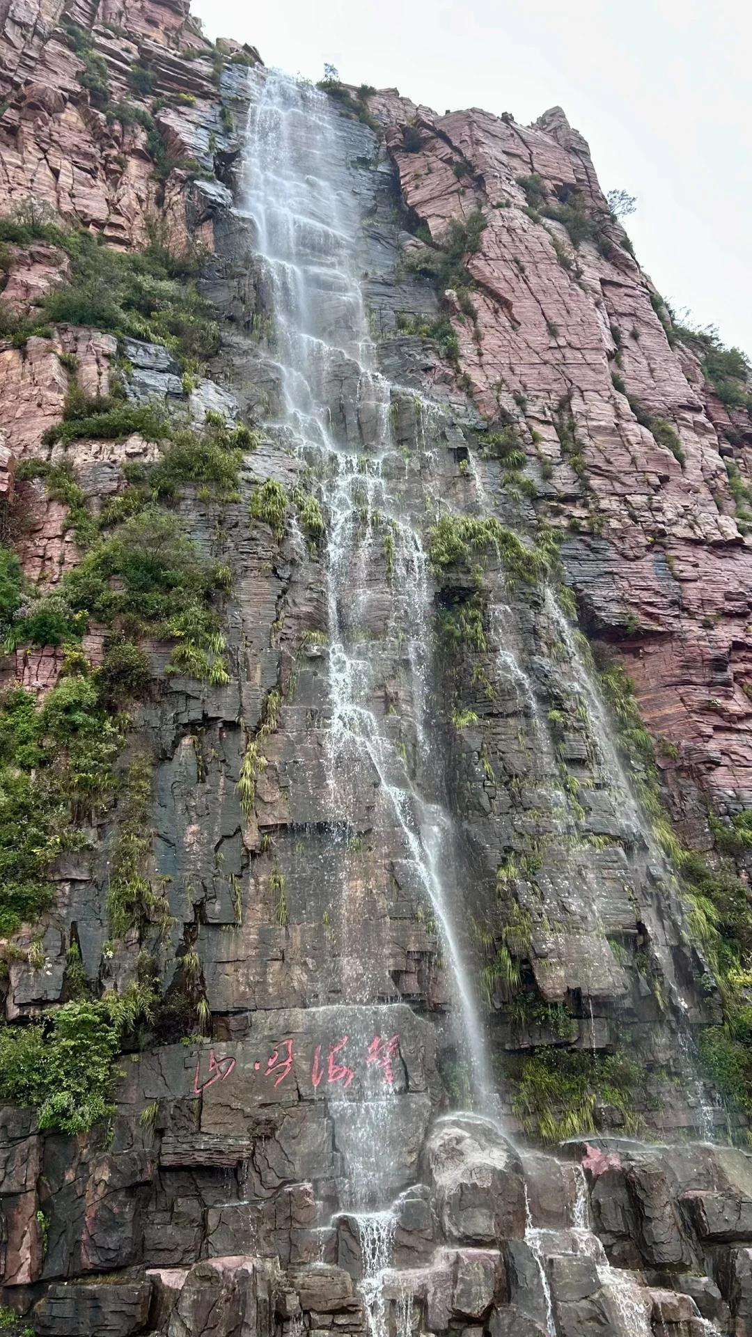 ⛰️武安·东太行｜在邯郸花的最值的一笔