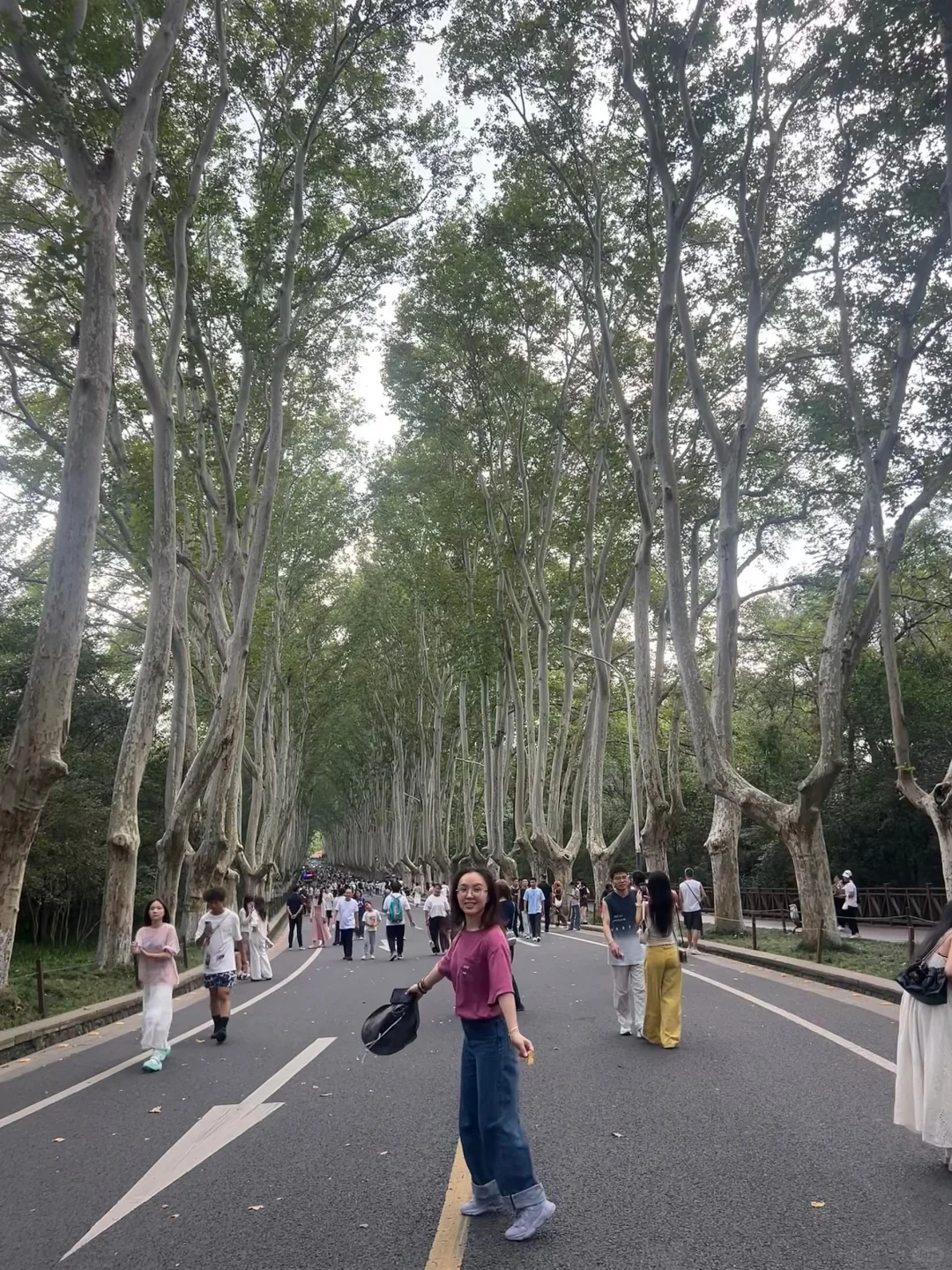 明孝陵半日游｜解锁网红大道正确打开方式