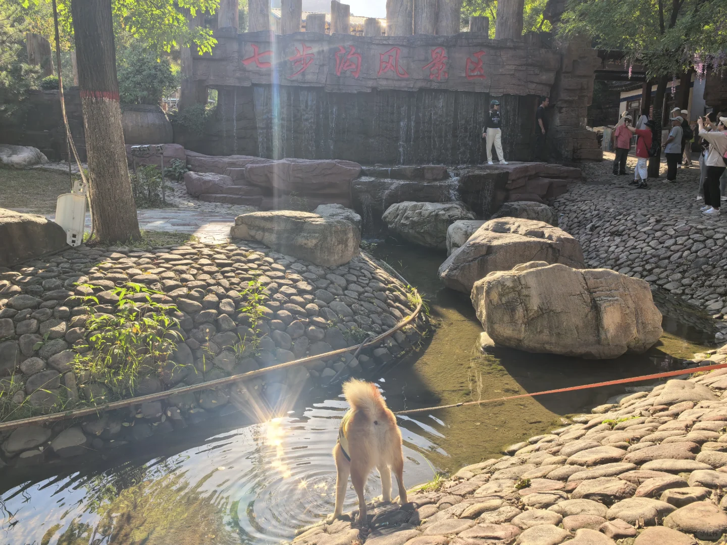 邯郸宠物友好景区·武安篇【七步沟+东太行】