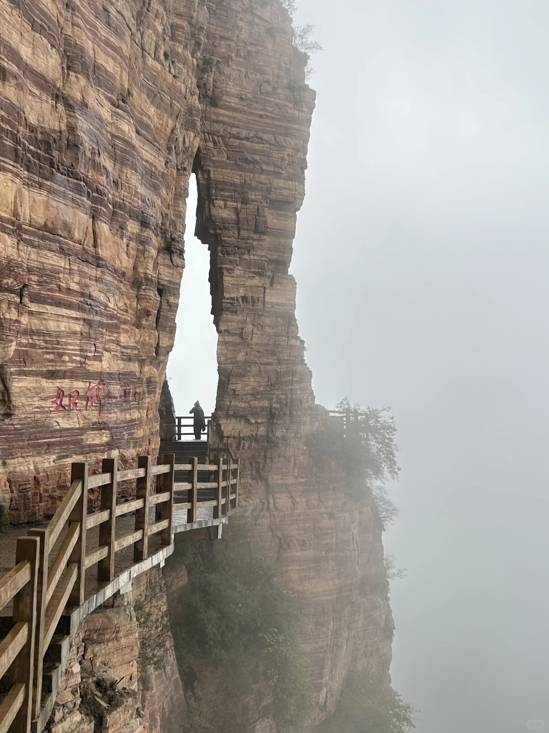 ⛰️武安·东太行｜在邯郸花的最值的一笔