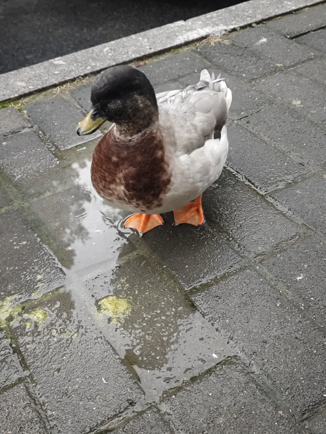 烟台不是一个旅游城市