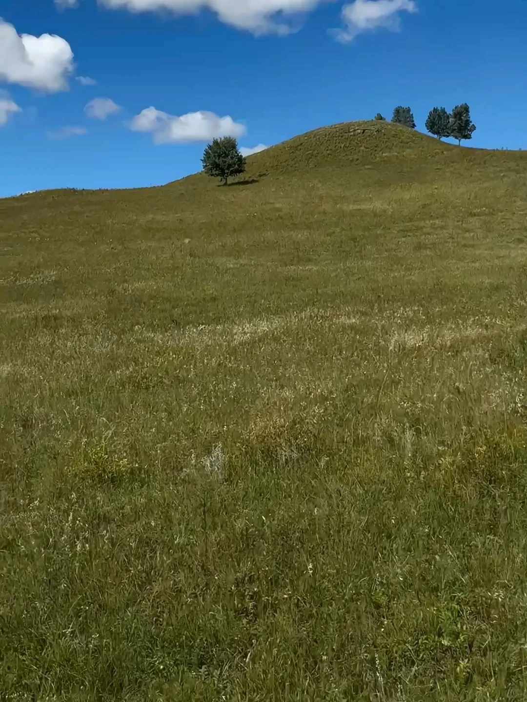 河北出发!乌兰察布➕承德2日自驾游,爽翻!