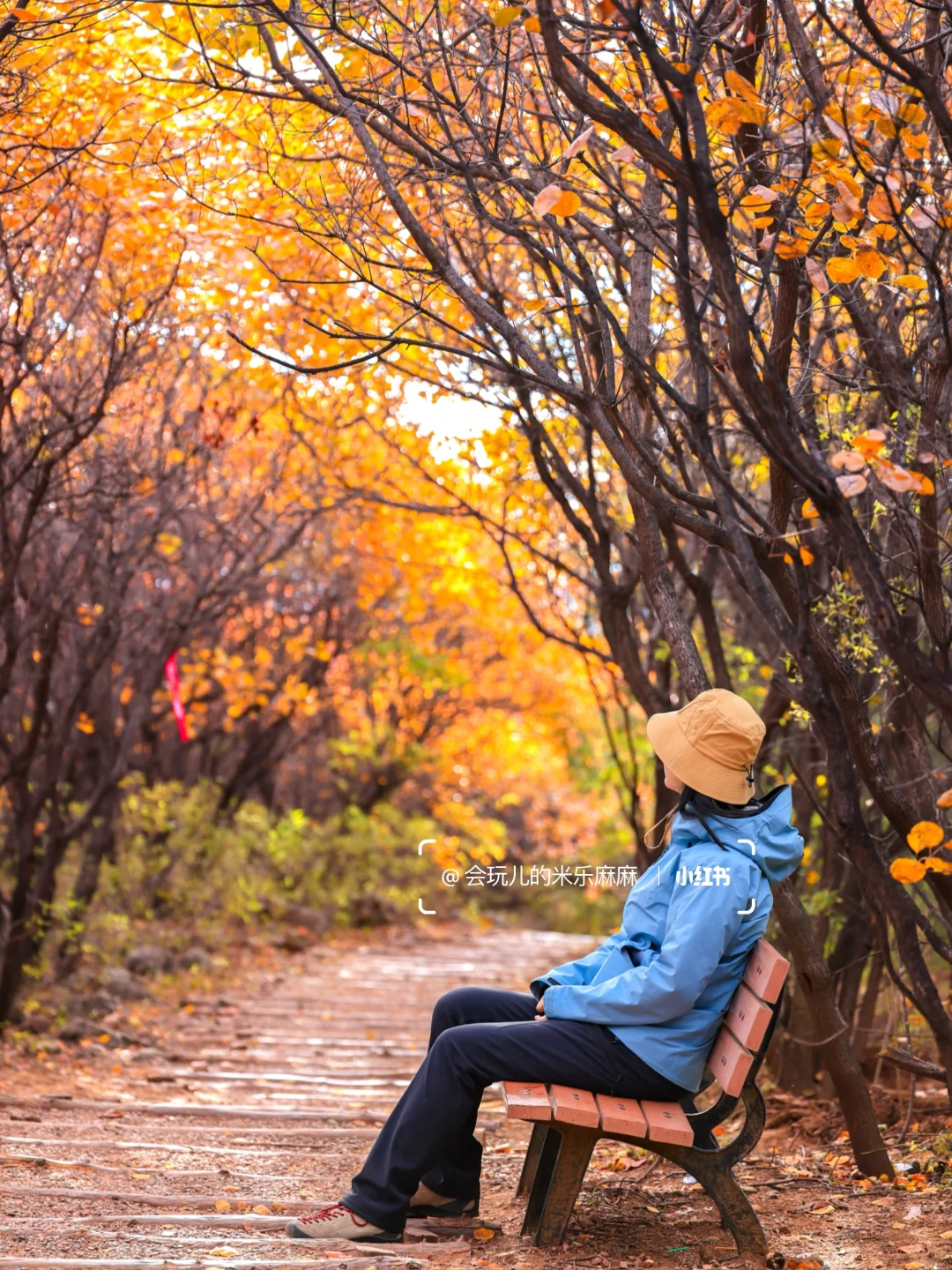 接下来北京不能错过的！亲子登山赏秋合集🍁