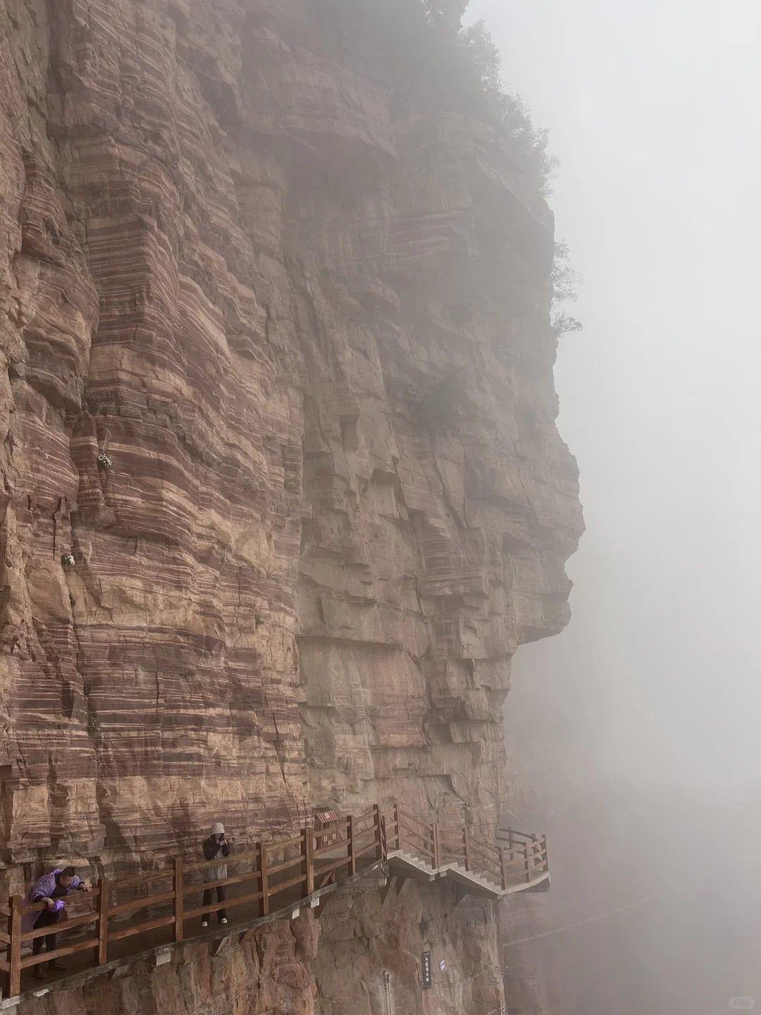 ⛰️武安·东太行｜在邯郸花的最值的一笔