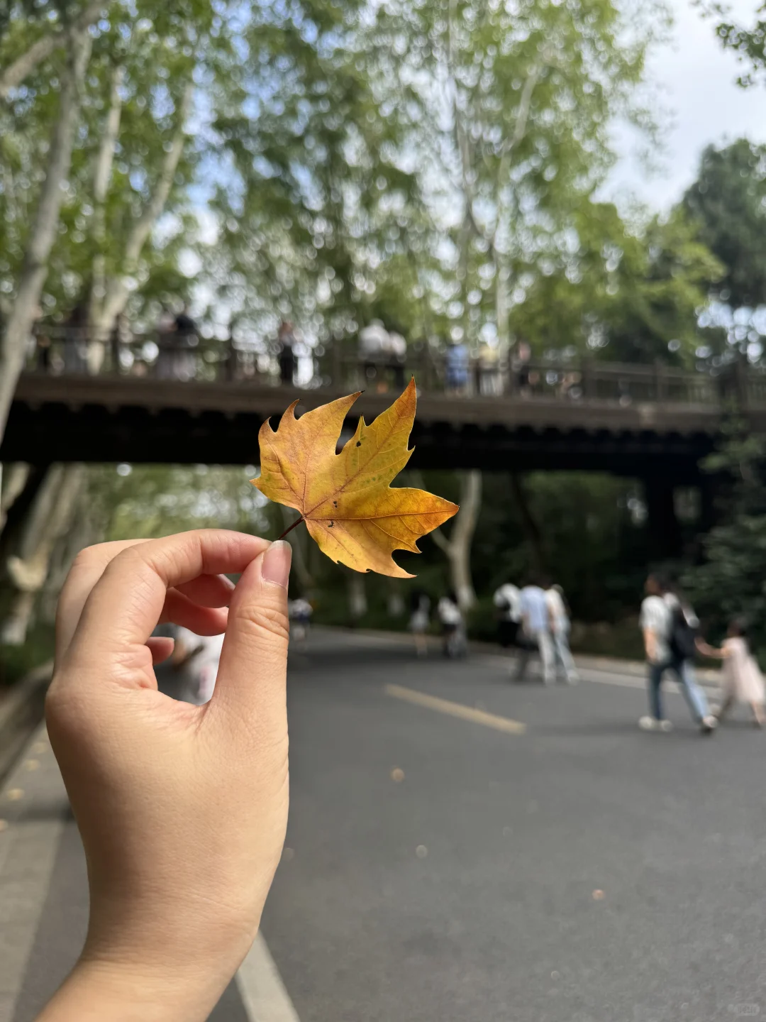 明孝陵半日游｜解锁网红大道正确打开方式