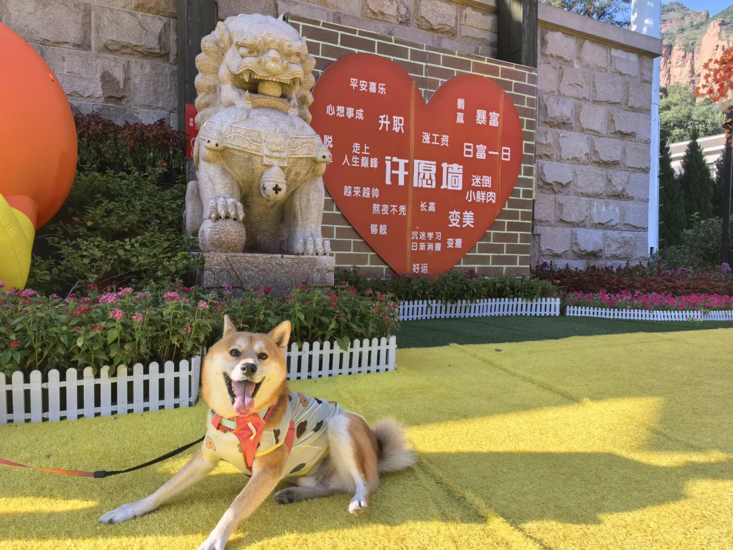 邯郸宠物友好景区·武安篇【七步沟+东太行】