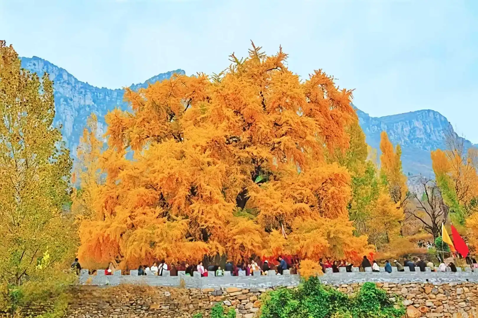 河南别只知道云台山！豫北这处秘境人少景美