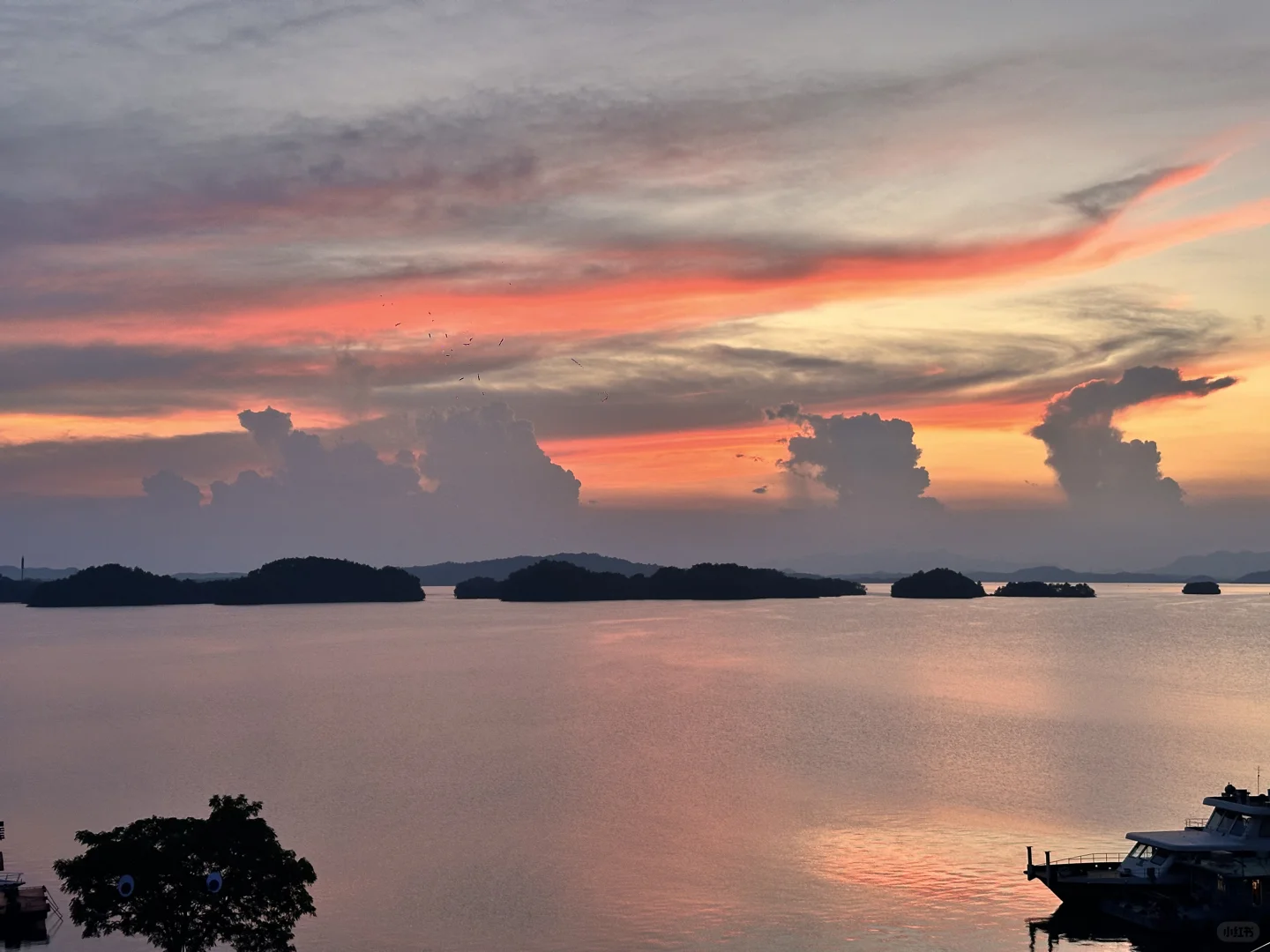 竟然让我流浪到了免费的5A景区❗