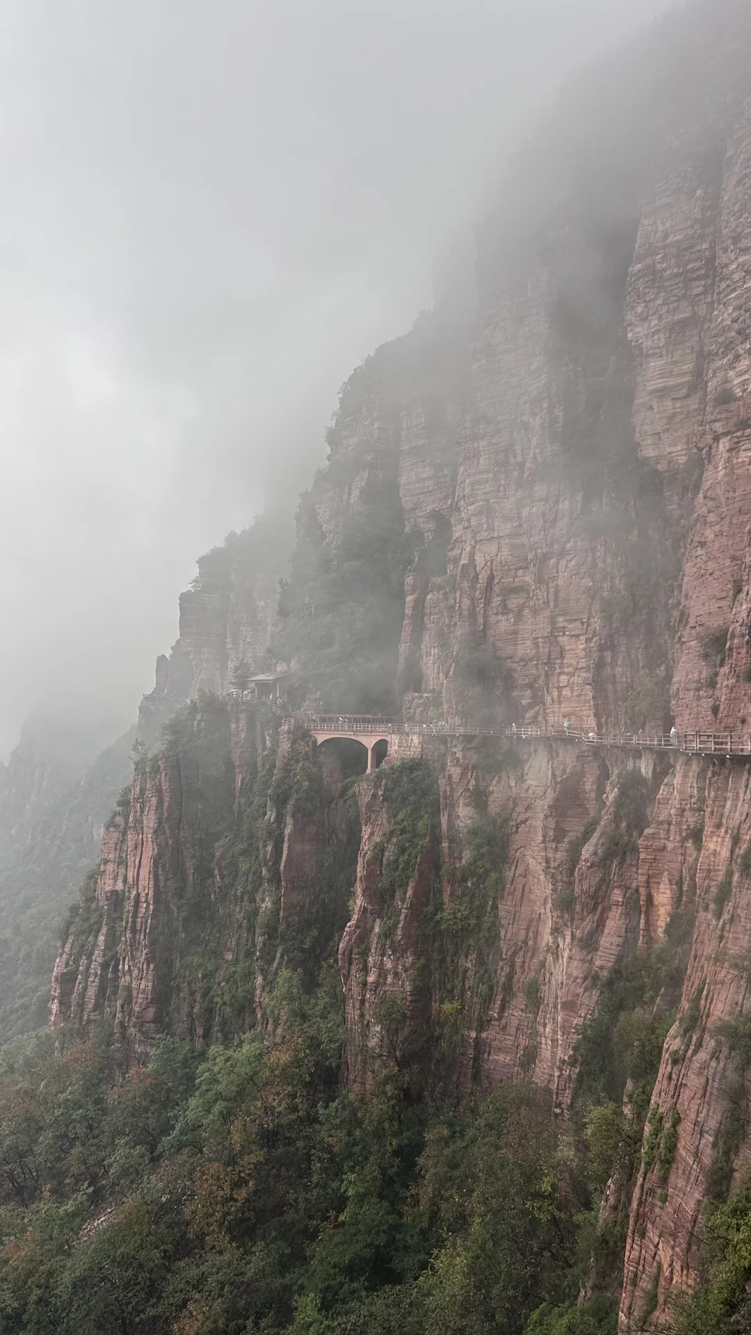 ⛰️武安·东太行｜在邯郸花的最值的一笔