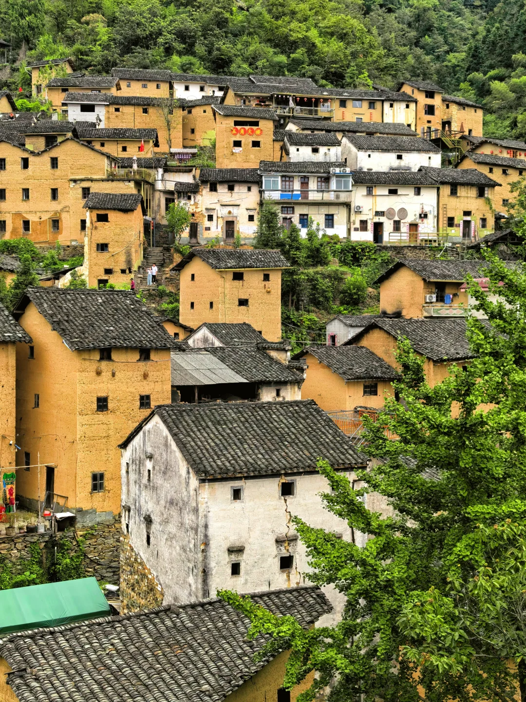 比起宏村，我更喜欢这个免费的小众隐世古村
