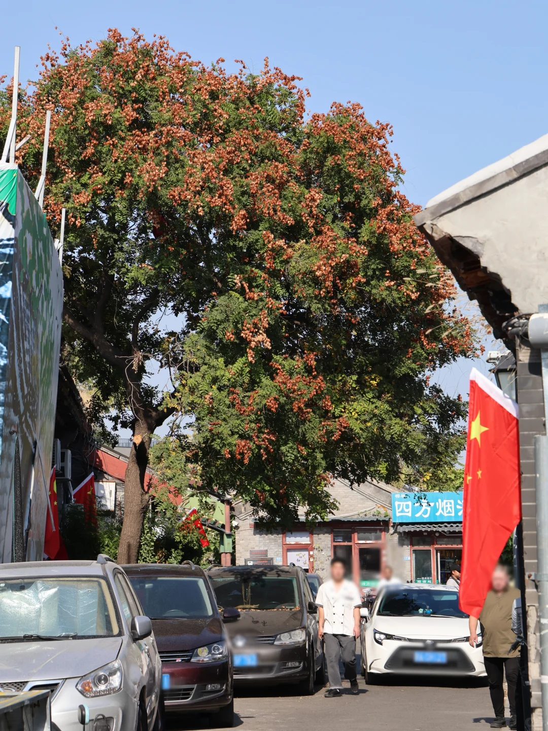 免预约‼️北京最经典一日游路线！附地图
