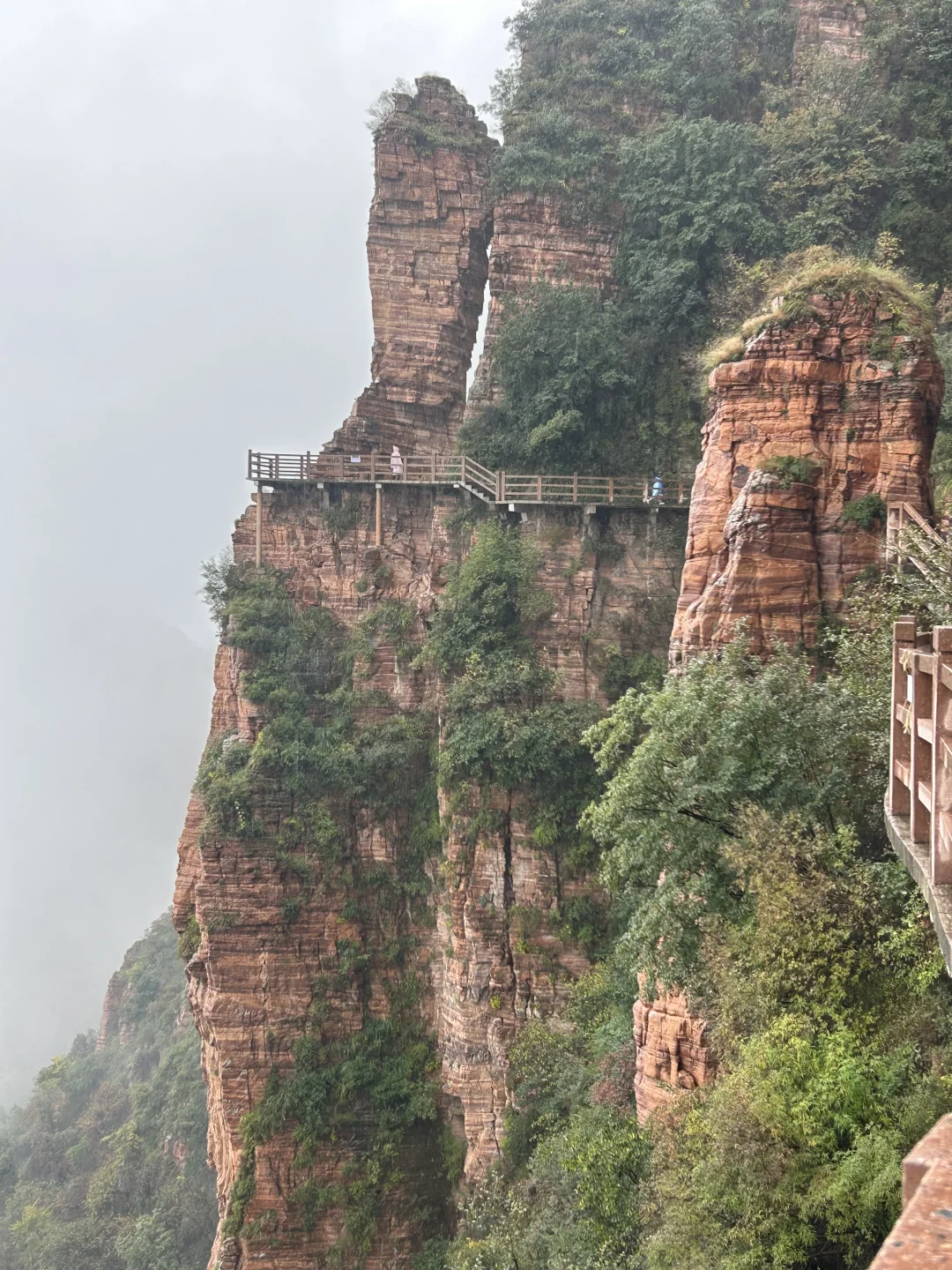 ⛰️武安·东太行｜在邯郸花的最值的一笔
