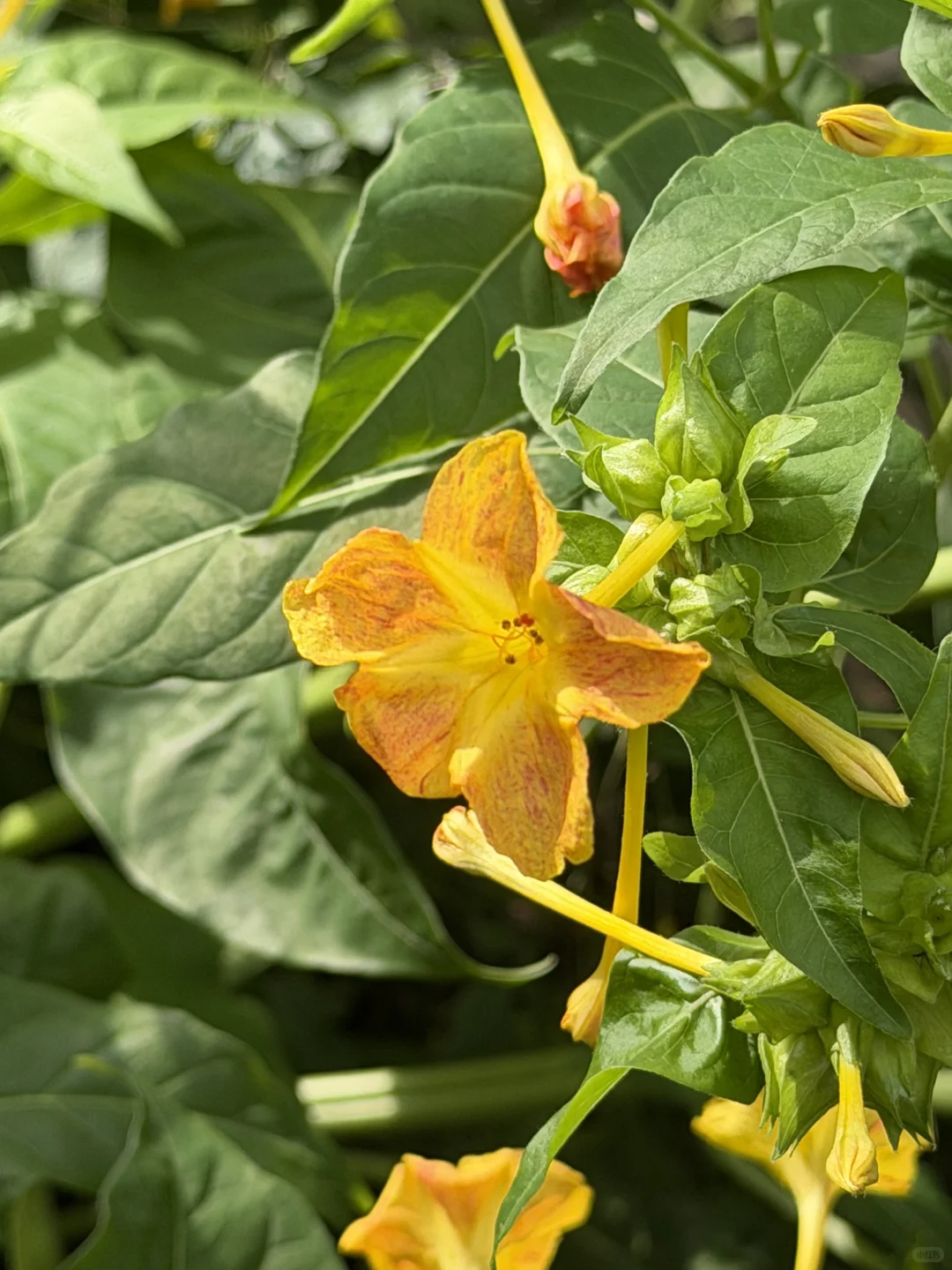 邯郸北响堂 早起的鸟儿不排队