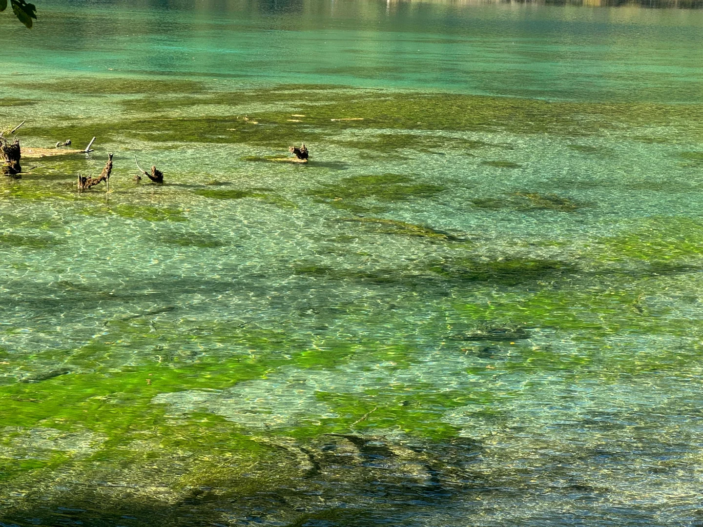 九寨沟第一天,讲真,根本不用过度追求攻略