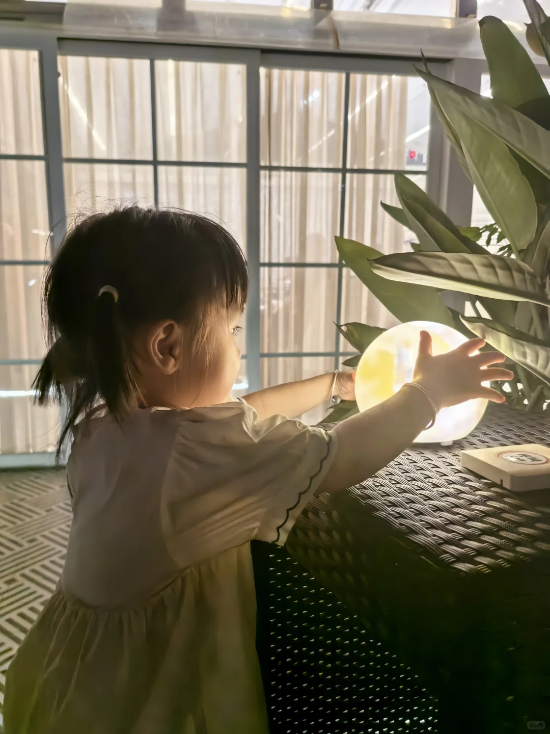 仙都—青田 带娃出行记