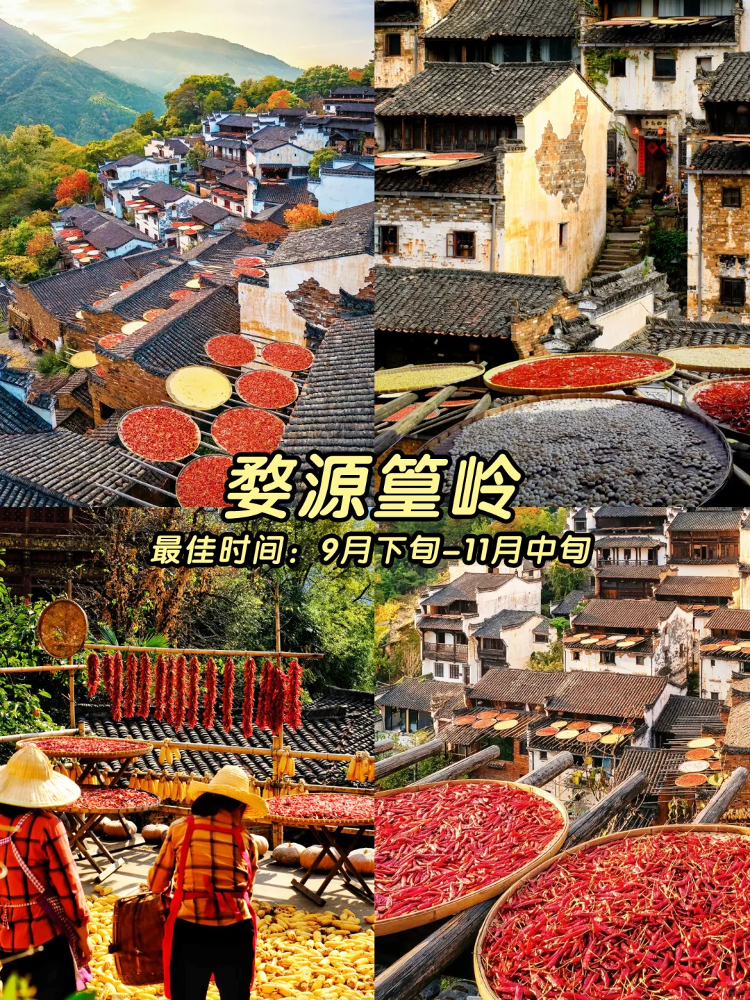 🍁一键收藏！9-11月国内最美秋色地图！