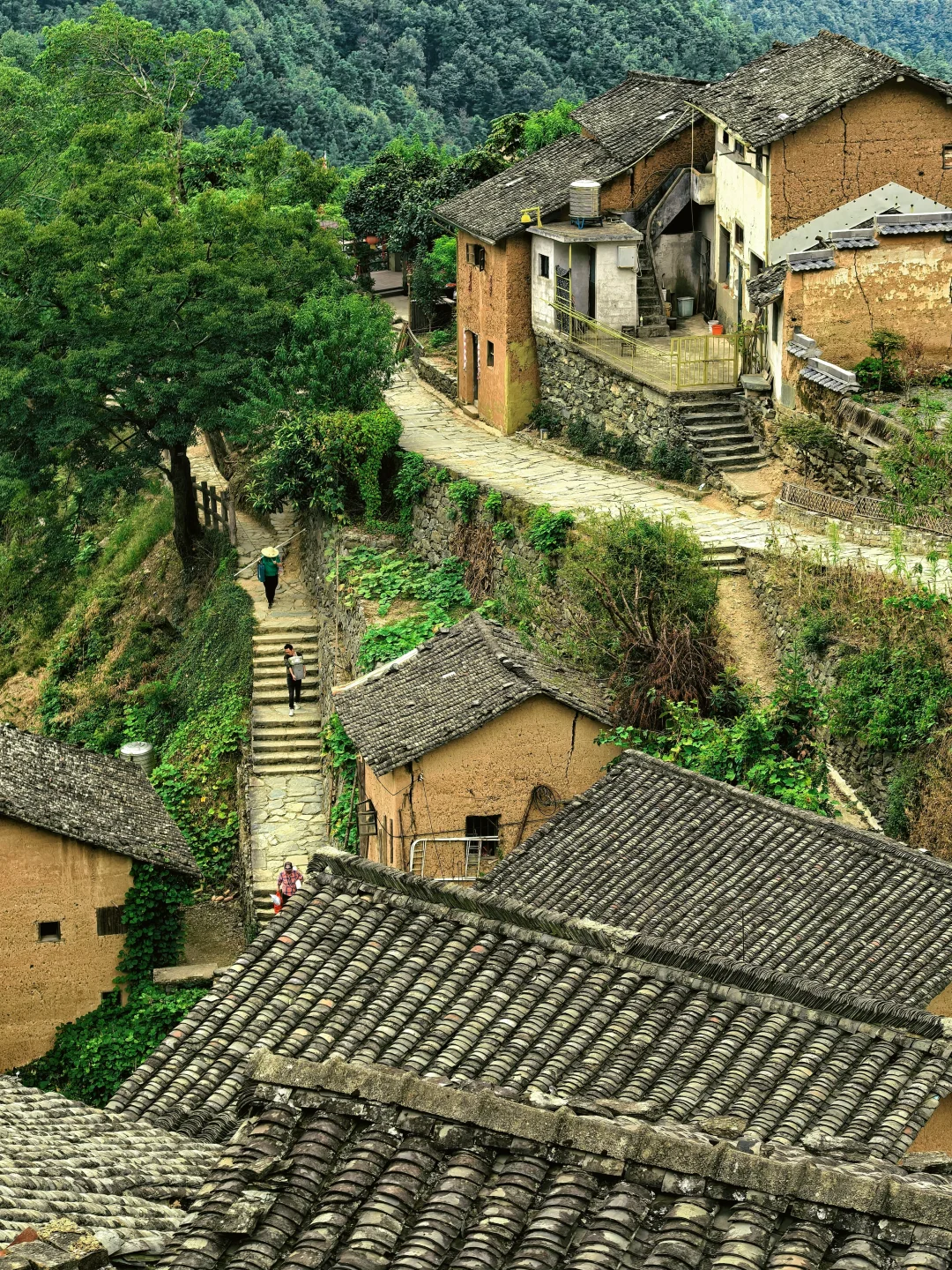 比起宏村，我更喜欢这个免费的小众隐世古村