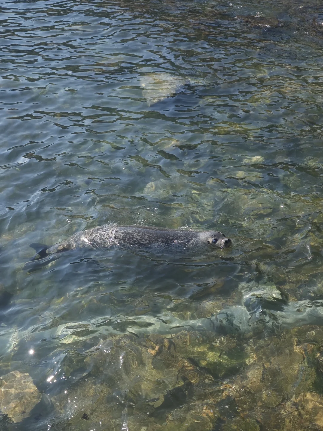 烟台不是一个旅游城市