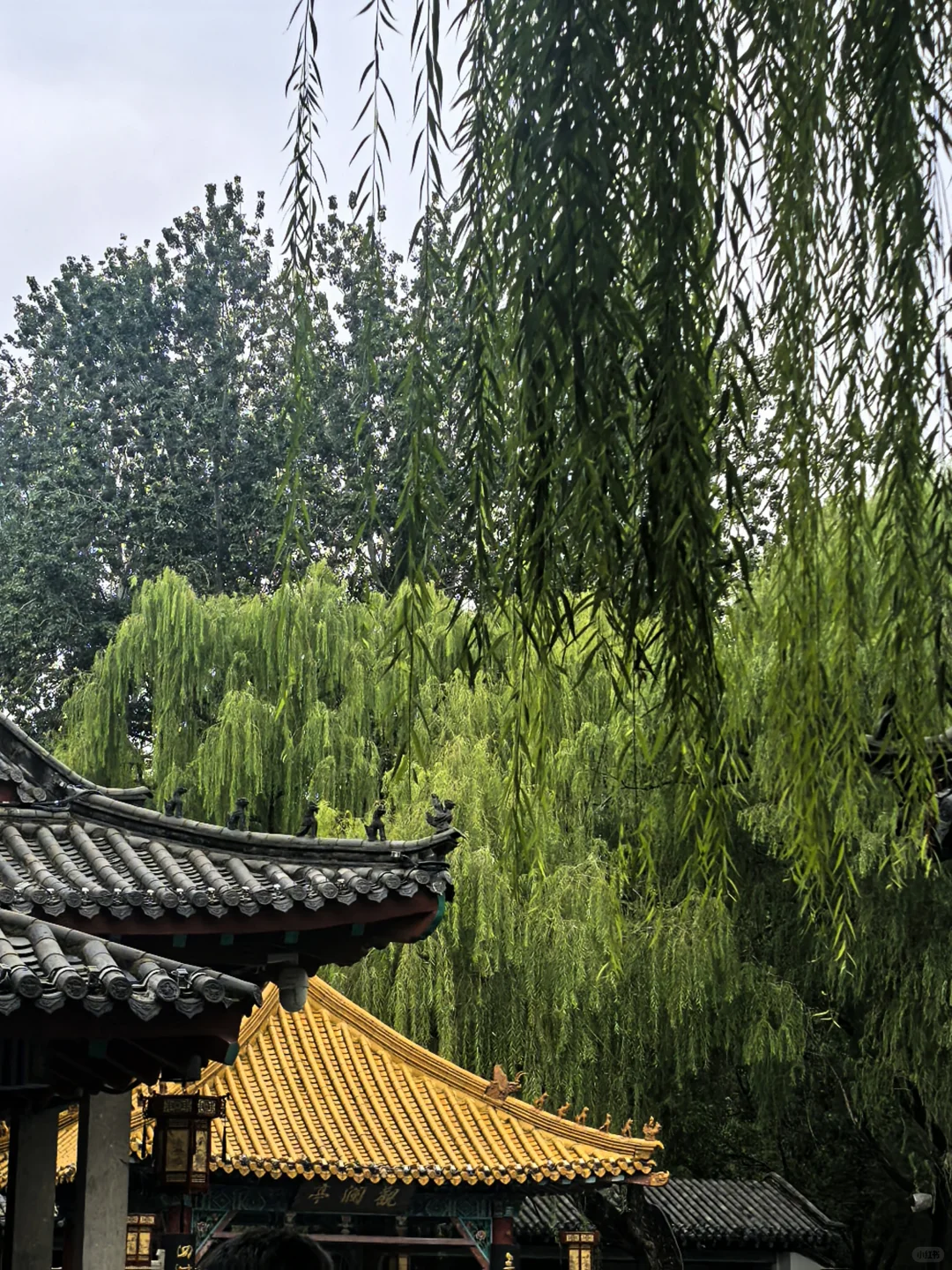 半天暴走济南