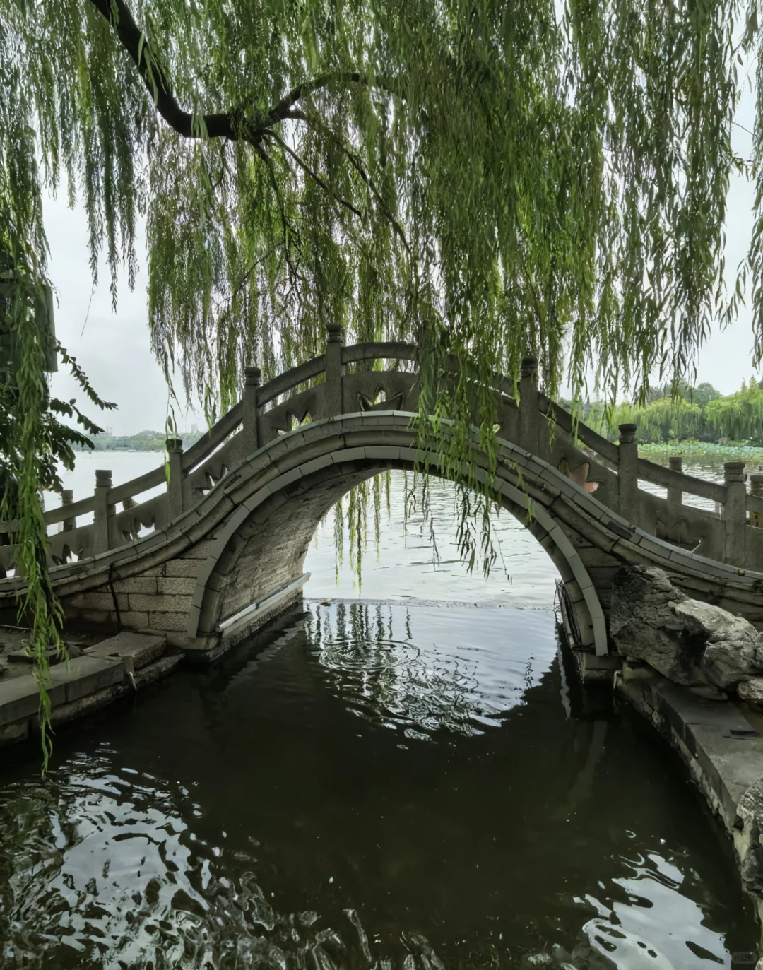 半天暴走济南