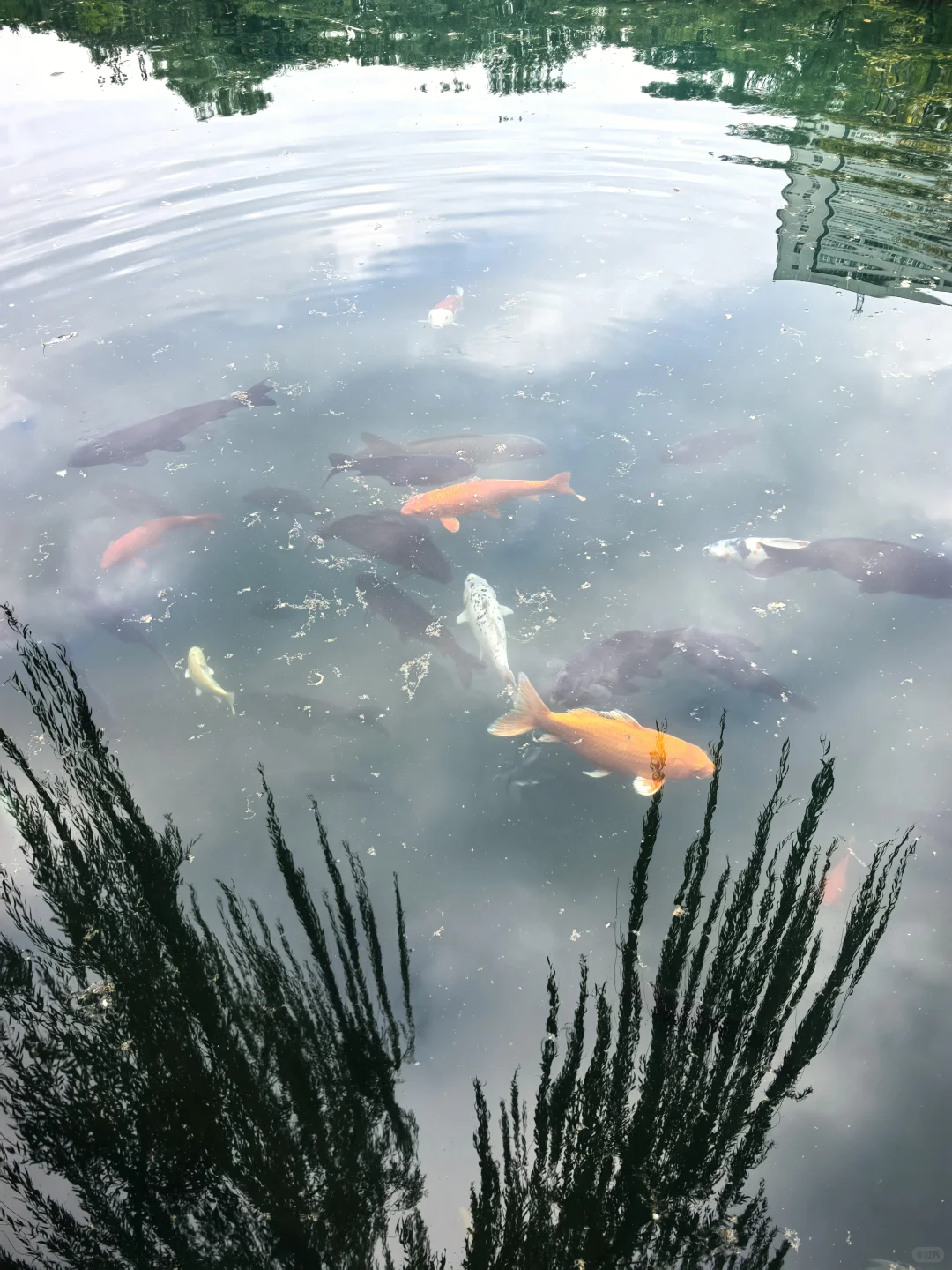 半天暴走济南