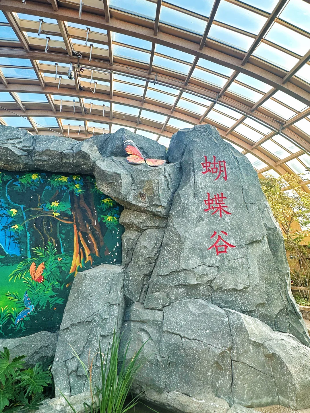 不在计划中！但是泰安旅行蕞值得的一站🎠