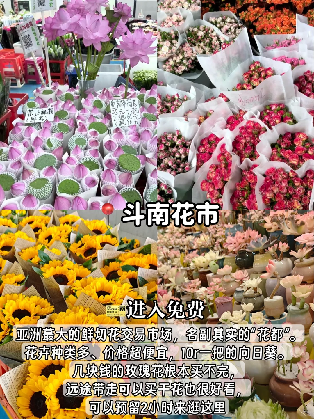 8-9🈷️来昆明怎么玩❓保姆级旅游攻略来啦~