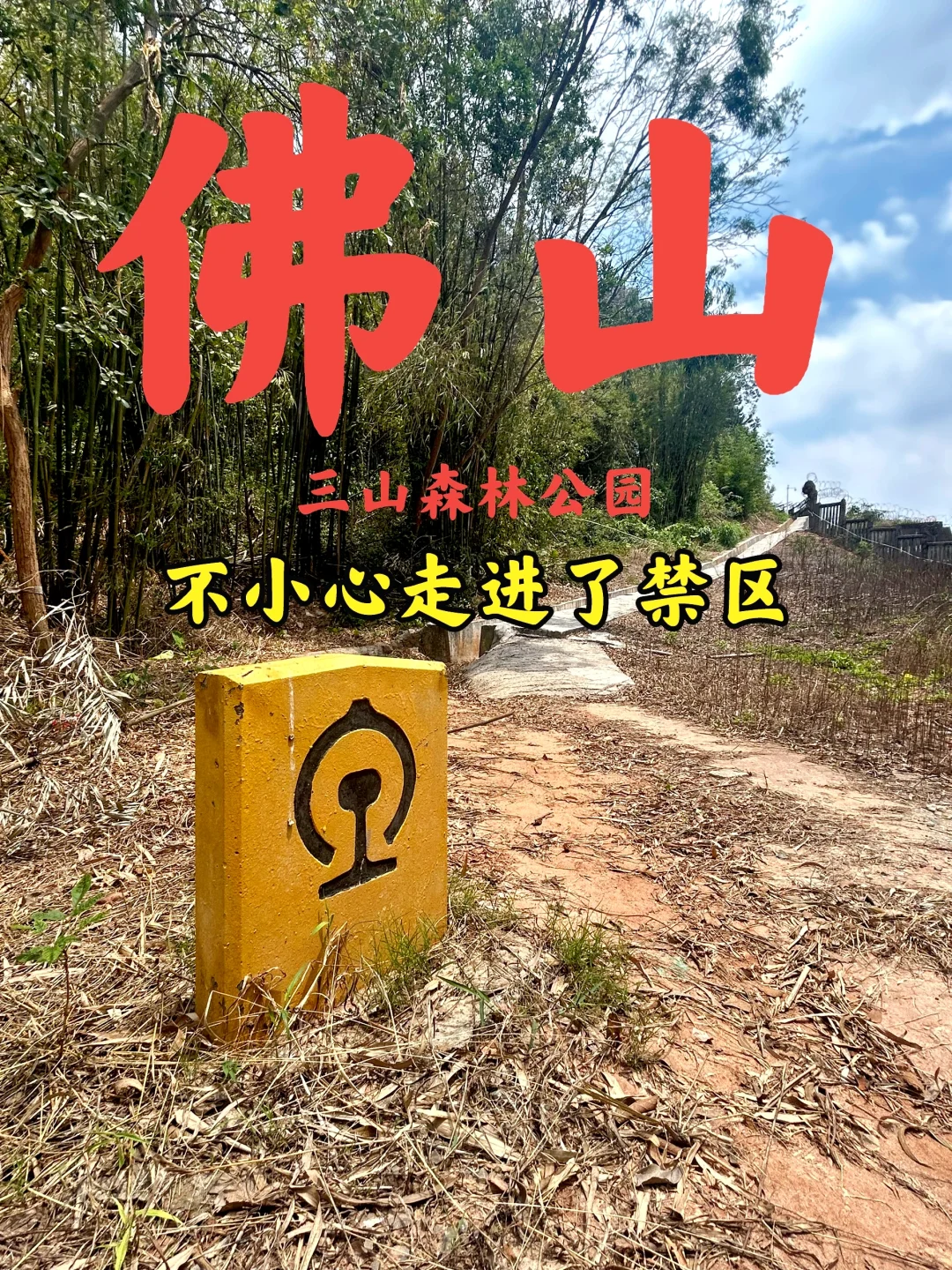 不小心走进了禁区拍到了高铁