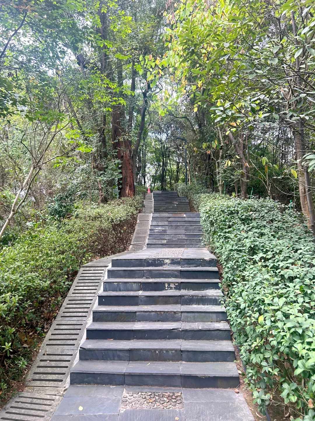 不小心走进了禁区拍到了高铁