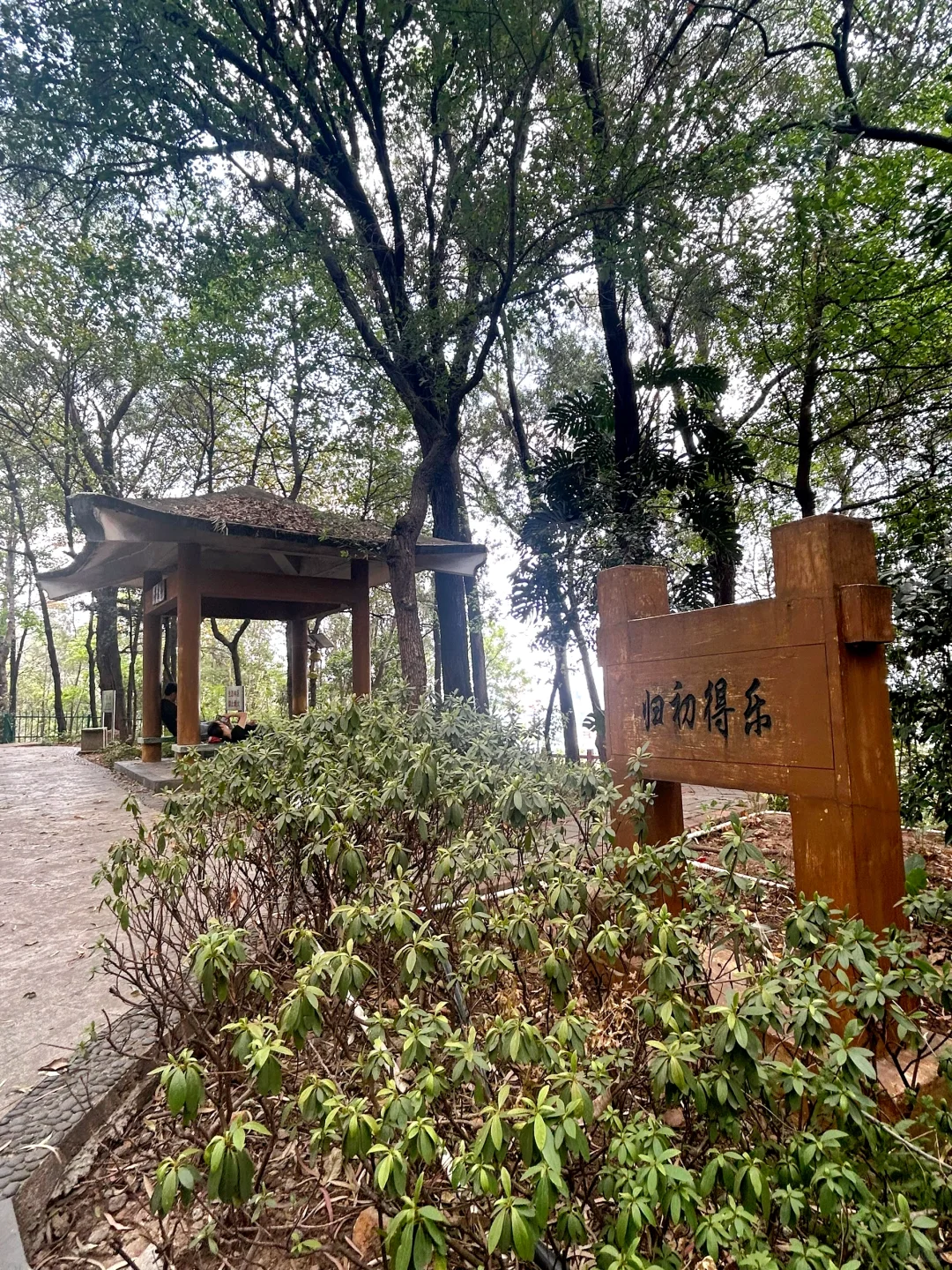 不小心走进了禁区拍到了高铁