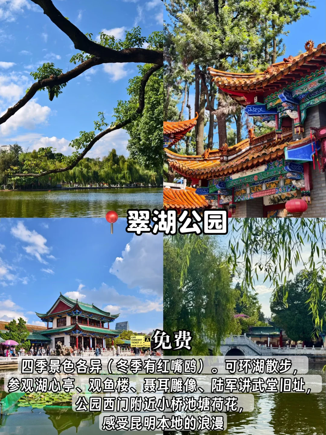 8-9🈷️来昆明怎么玩❓保姆级旅游攻略来啦~