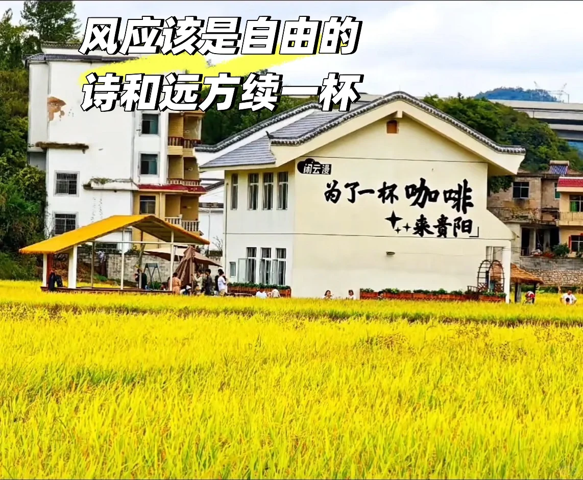 诗和远方续一杯，为了一杯咖啡来贵阳