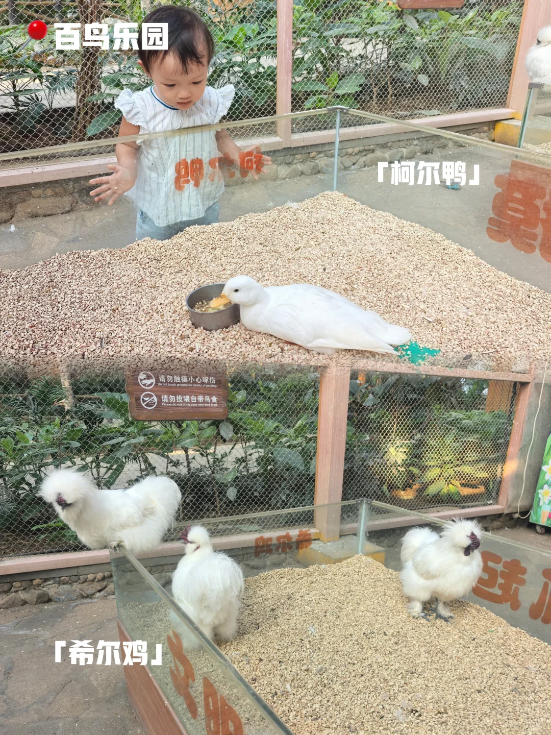 “娇气”宝妈量身定制！北京这个地方太会了