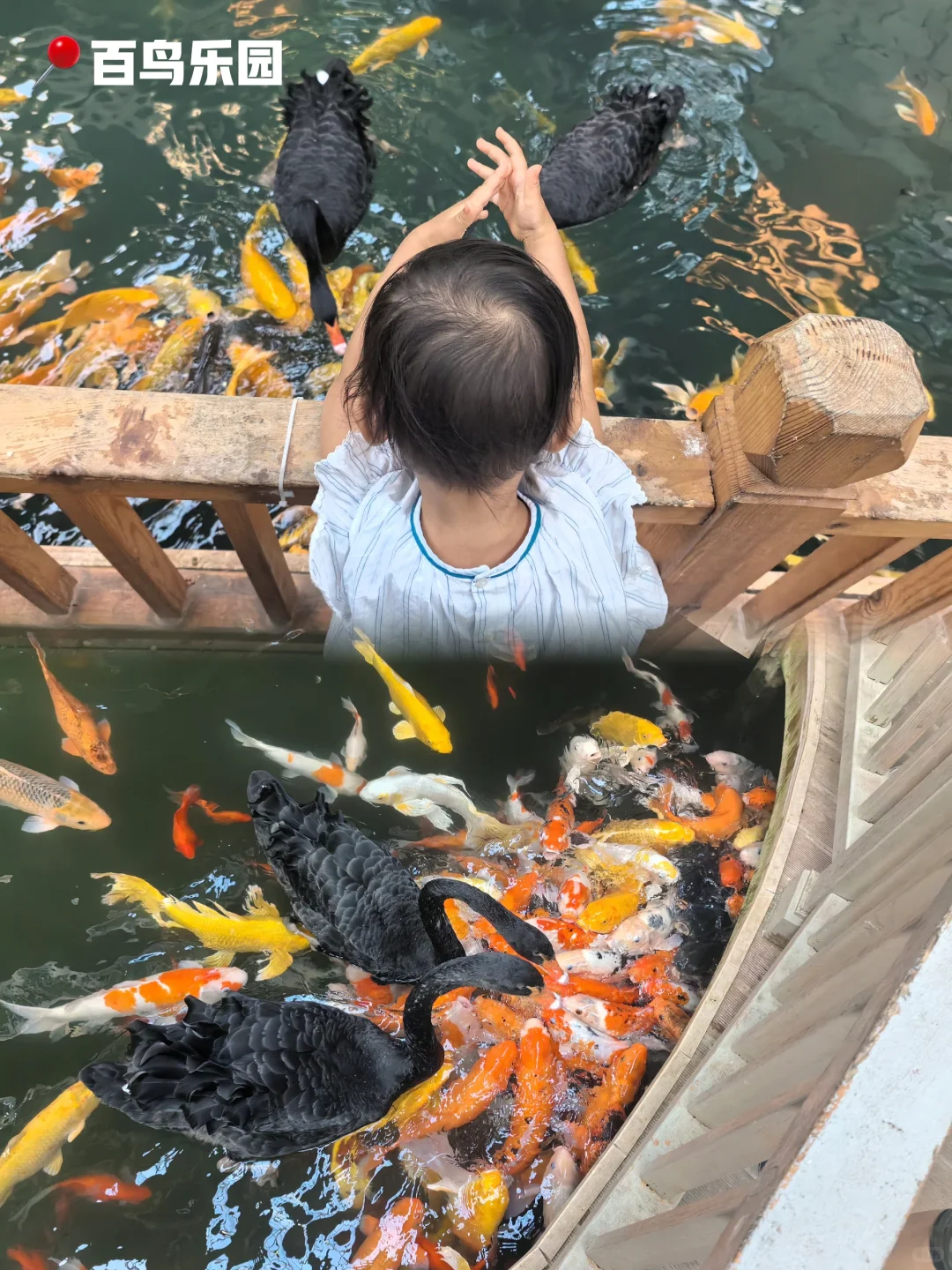 “娇气”宝妈量身定制！北京这个地方太会了