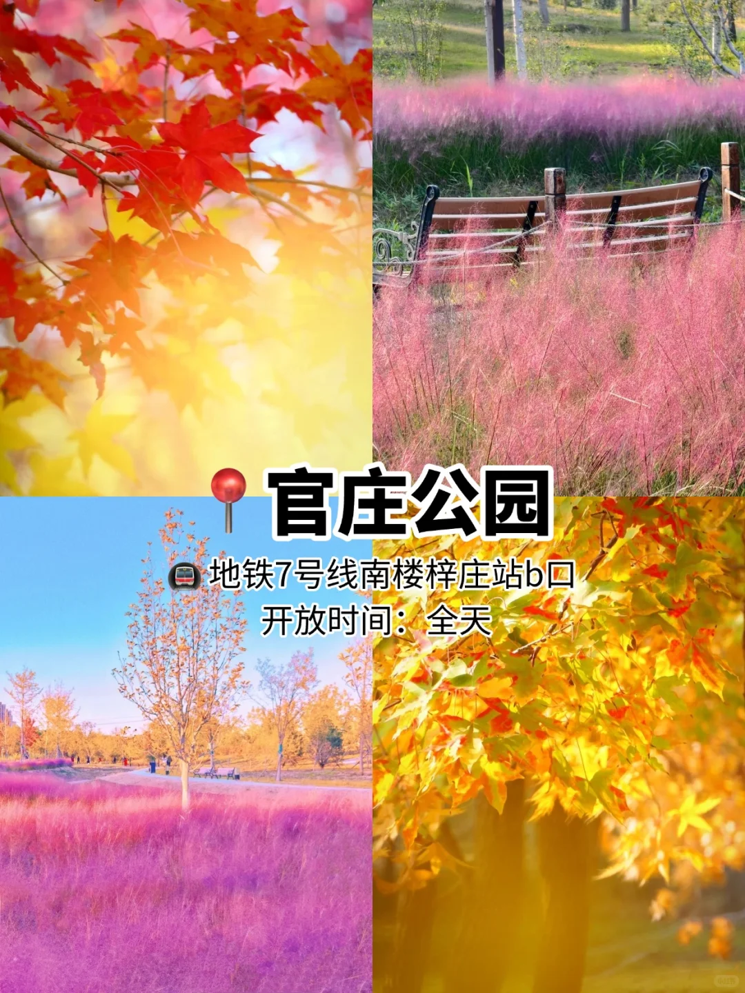 国庆旅游不出京❗️6个好玩儿🆓公园
