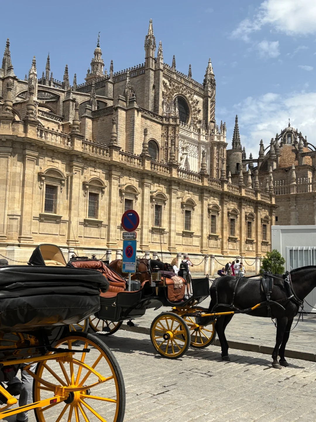 🇪🇸第一次来西班牙!被塞利维亚美晕了🍊