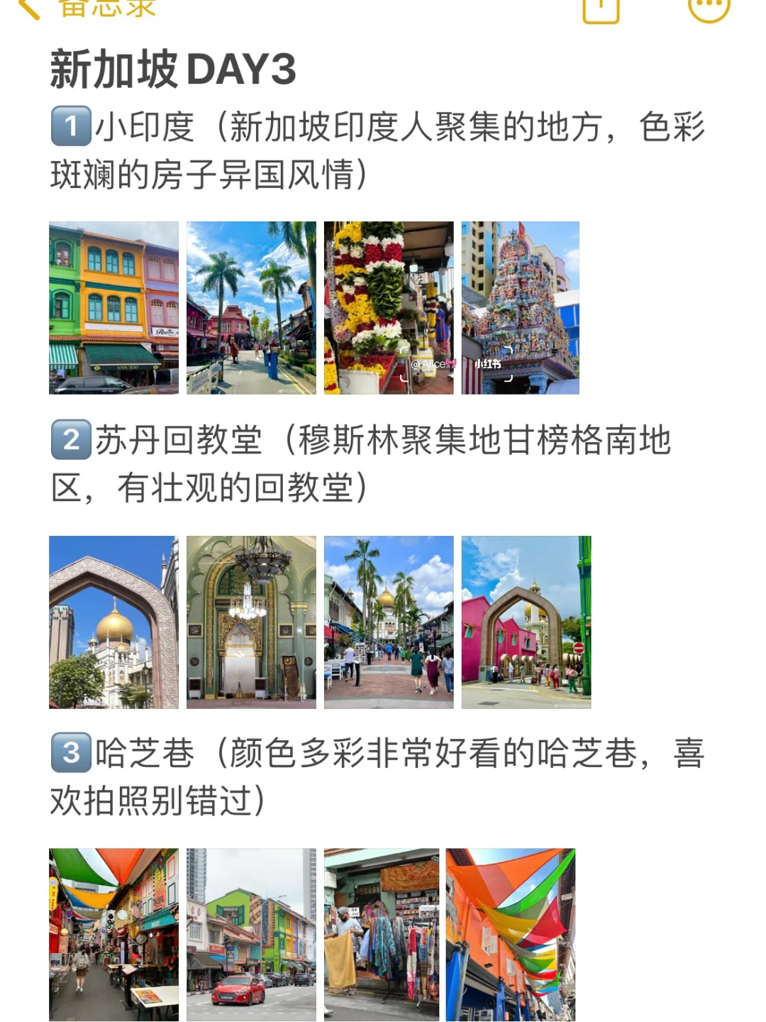新加坡已回！J人对自己的旅游攻略甚是满意..