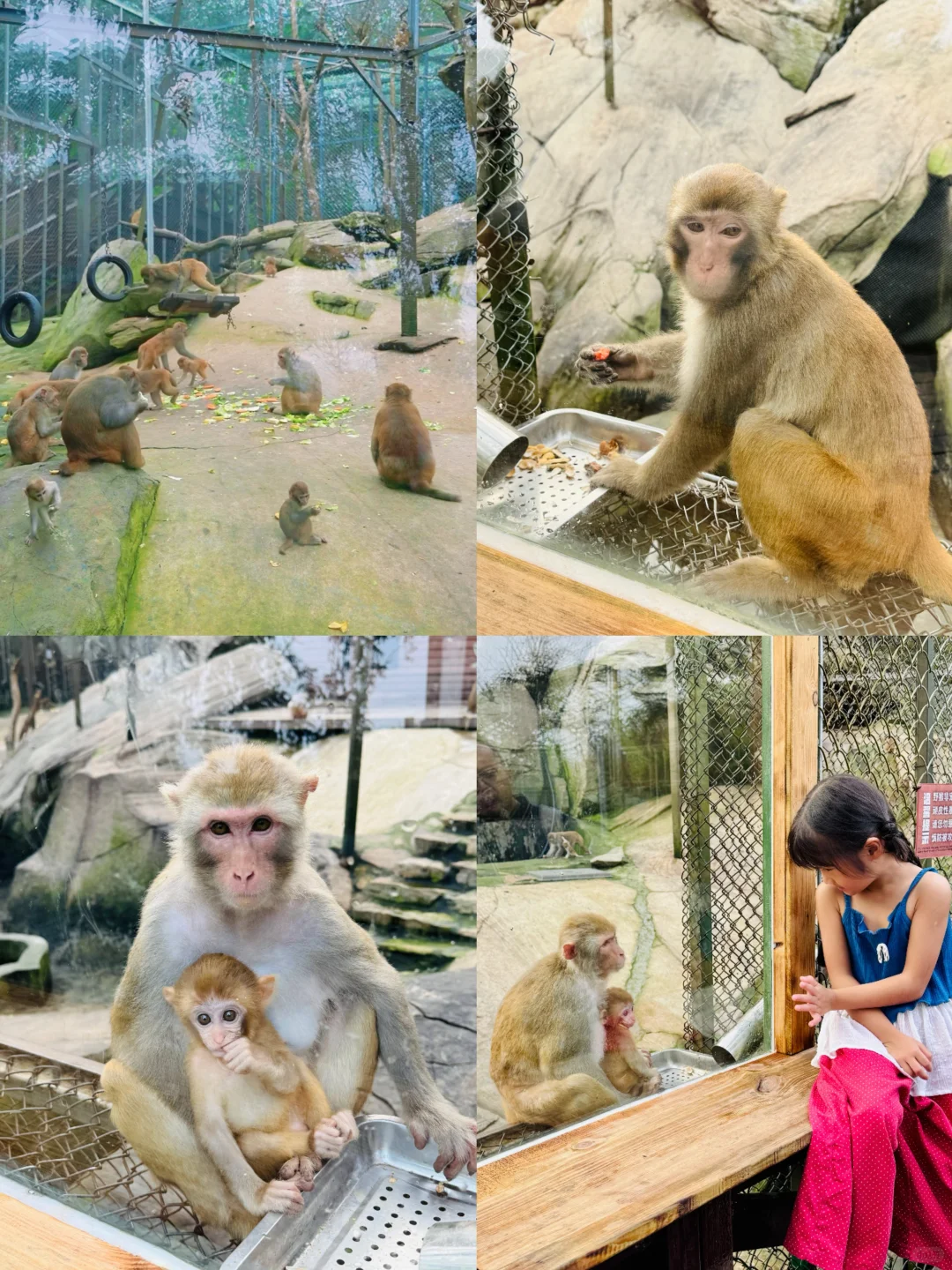 不在计划中‼️但却是江苏旅行最值得的一站