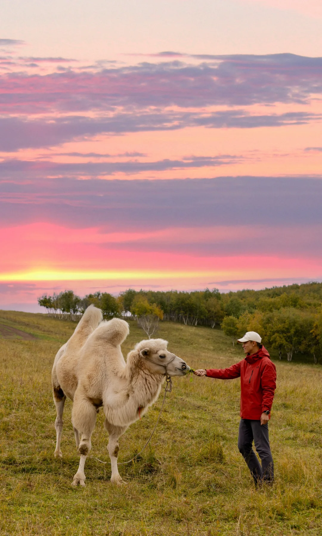 北京3h🚗 闯进了秋天的油画世界！